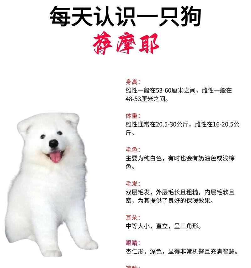 文章详情图片