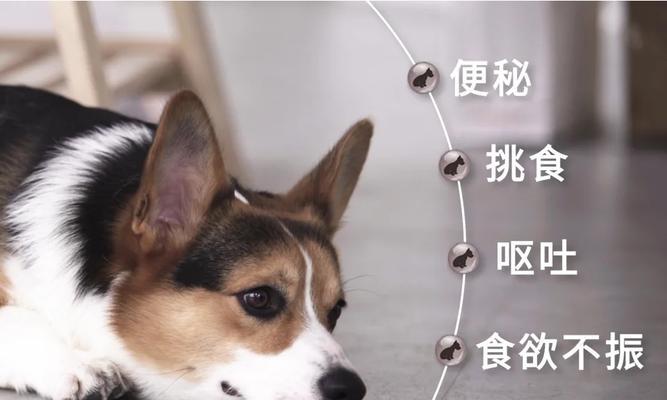 文章详情图片