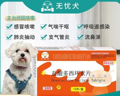 文章详情图片