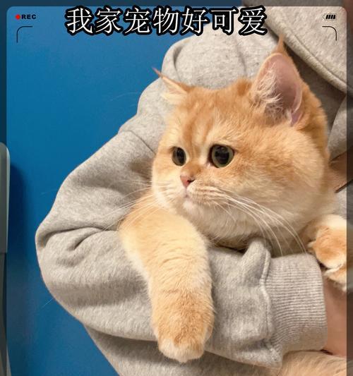 文章详情图片