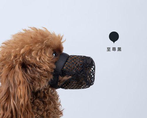 文章详情图片
