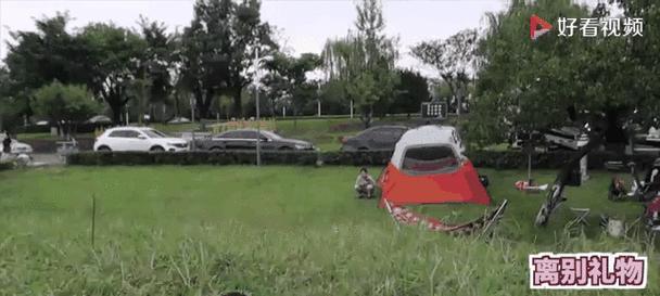 文章详情图片