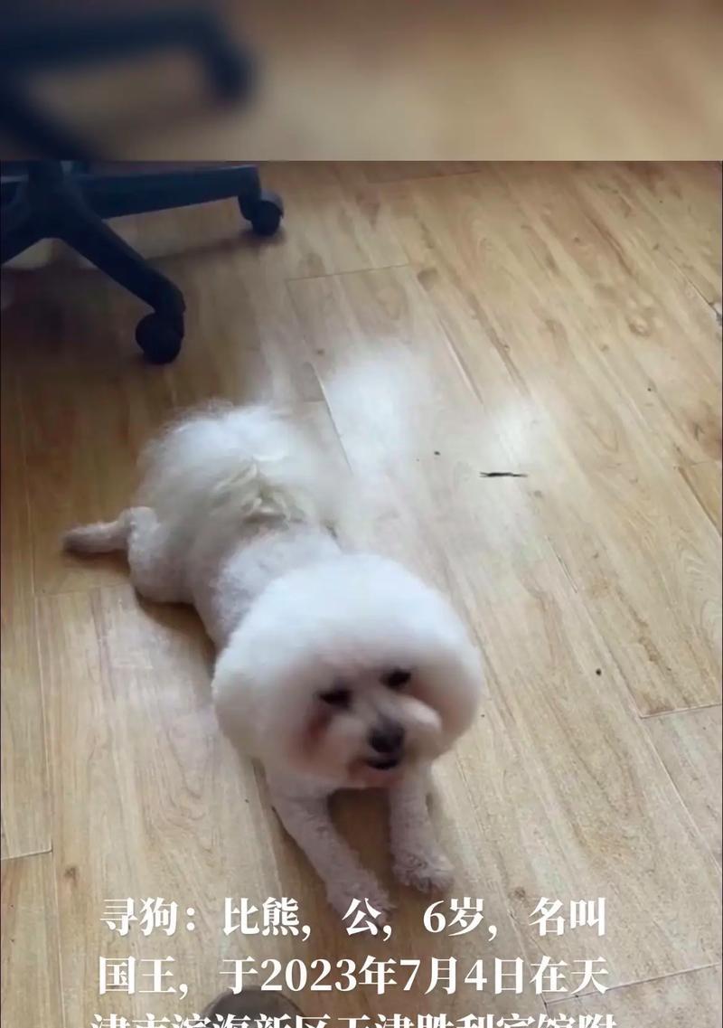 文章详情图片