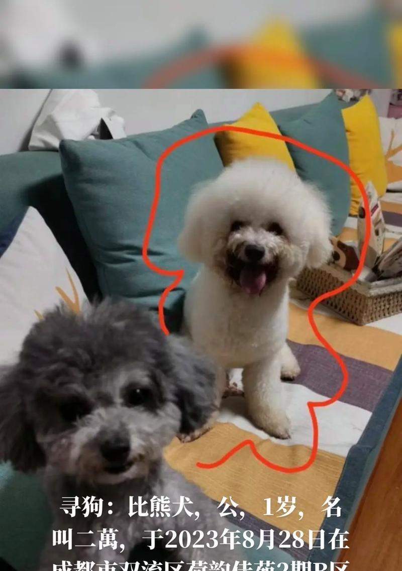 文章详情图片