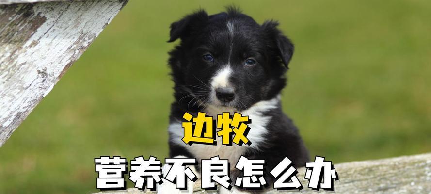 文章详情图片