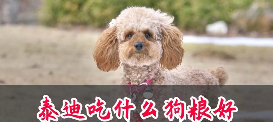 文章详情图片