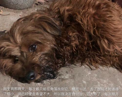 文章详情图片