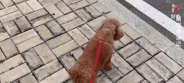 文章详情图片