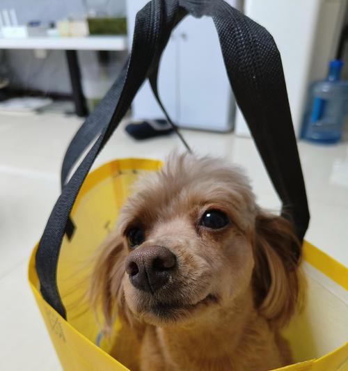 文章详情图片