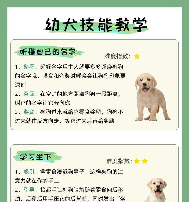 文章详情图片