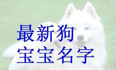 文章详情图片