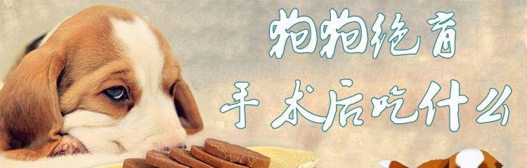 文章详情图片