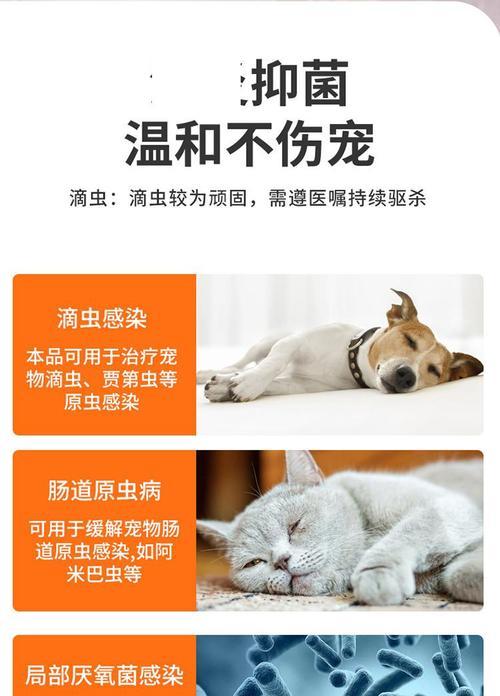 文章详情图片