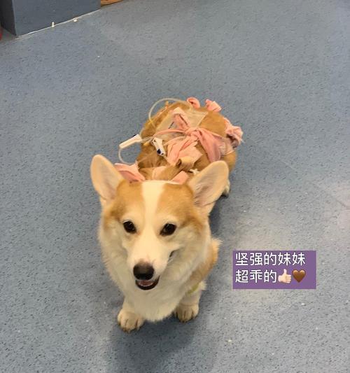 文章详情图片