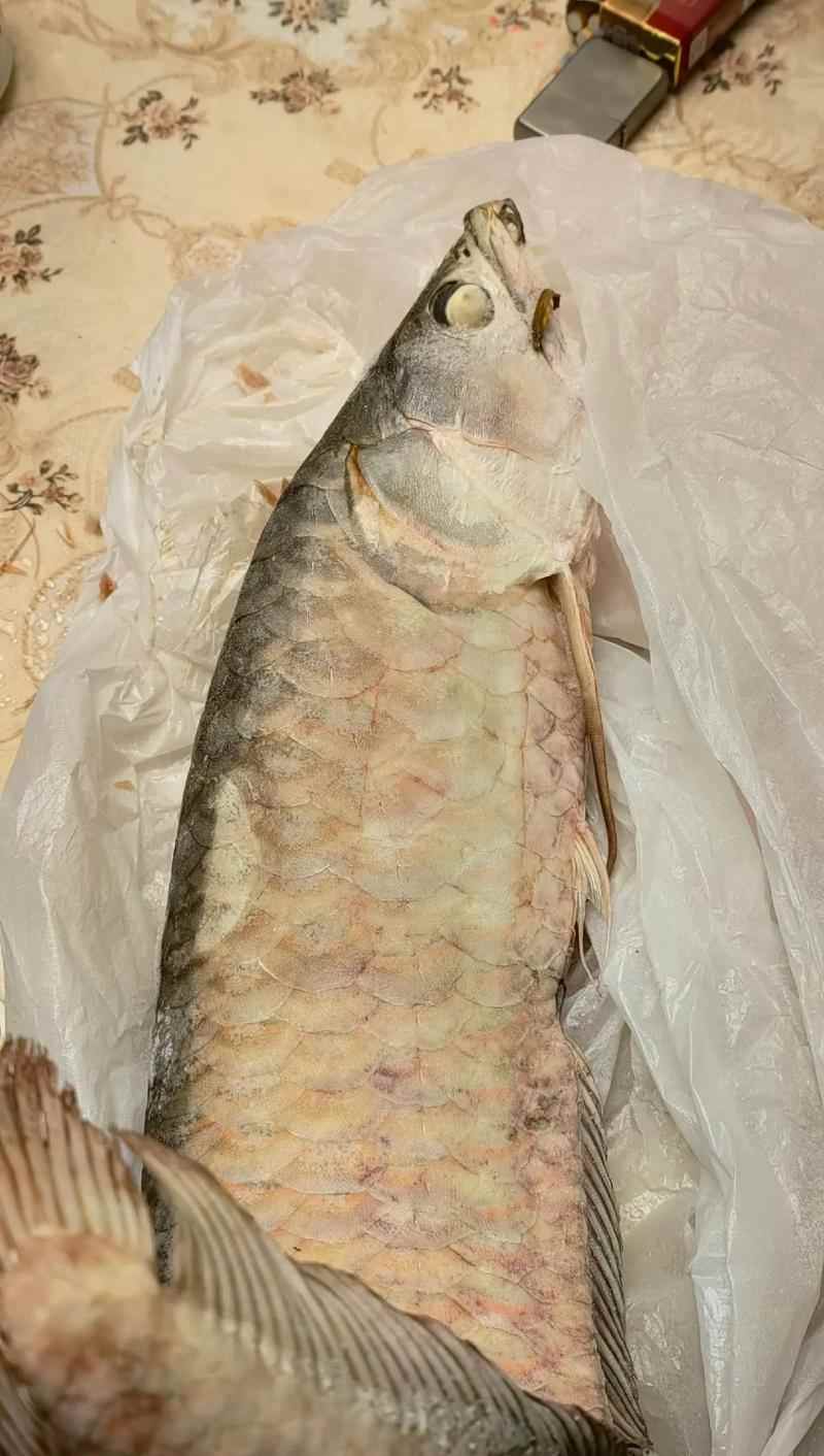 文章详情图片