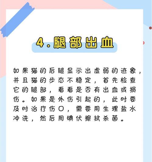 文章详情图片