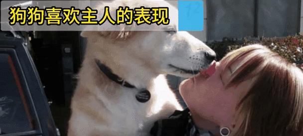 文章详情图片