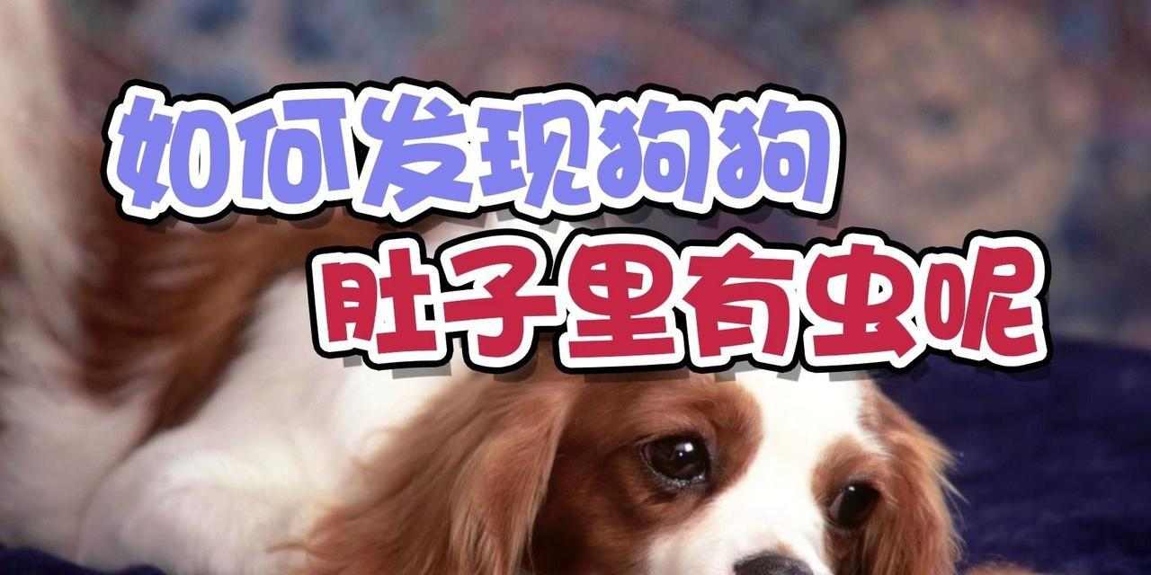 文章详情图片
