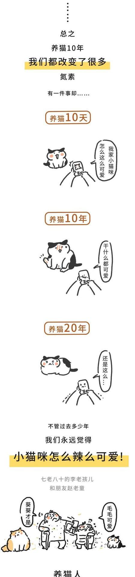 文章详情图片