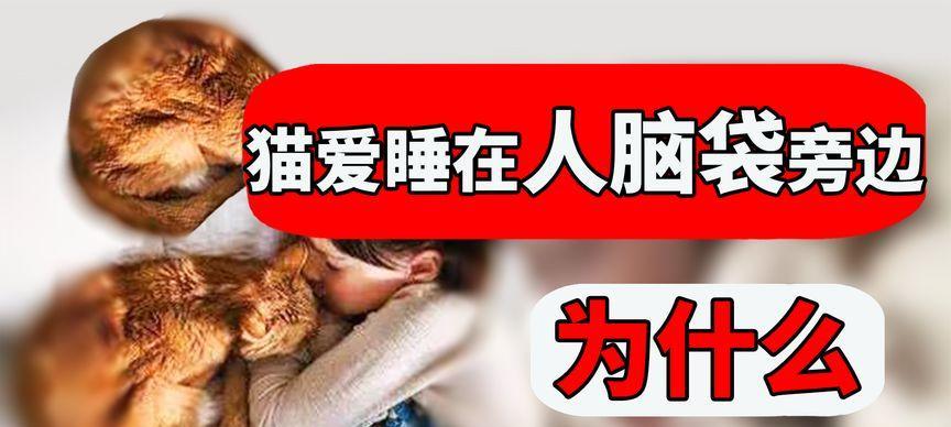 文章详情图片
