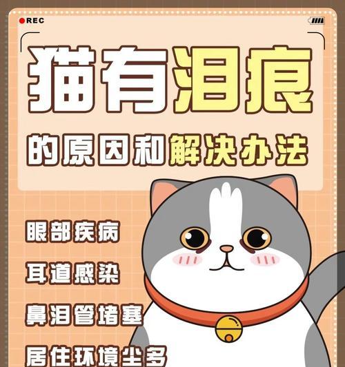 文章详情图片