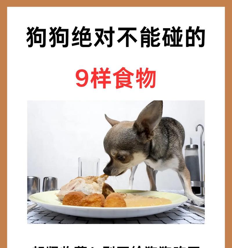文章详情图片