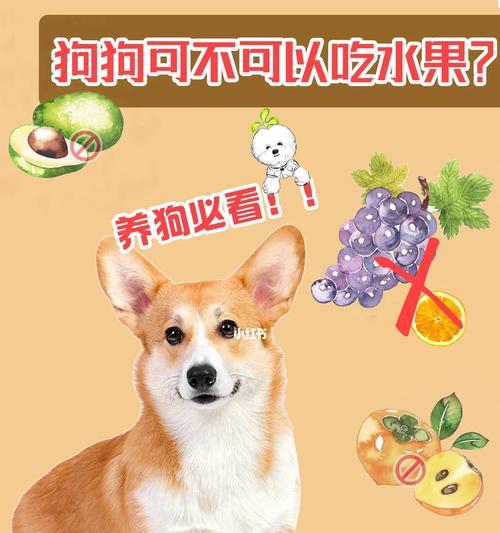 文章详情图片