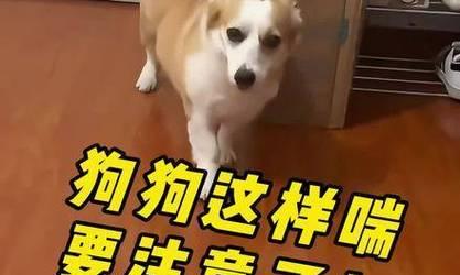 文章详情图片