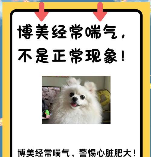 文章详情图片