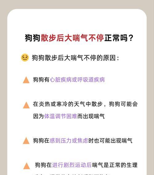 文章详情图片
