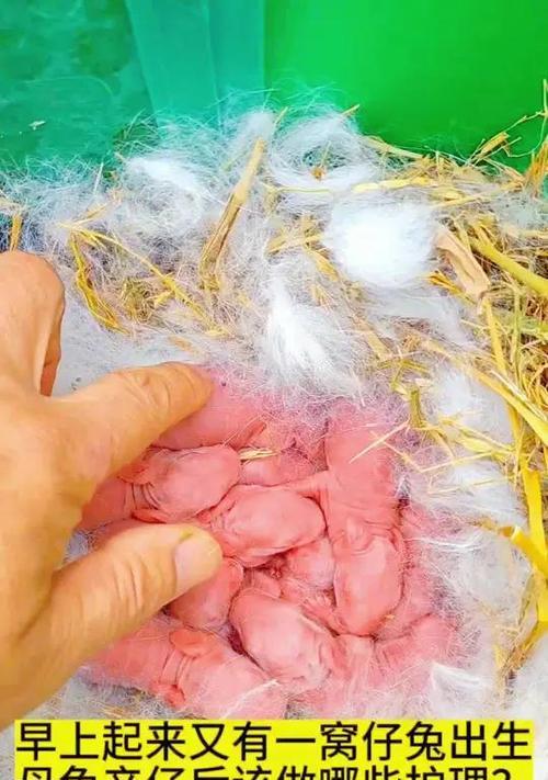 文章详情图片