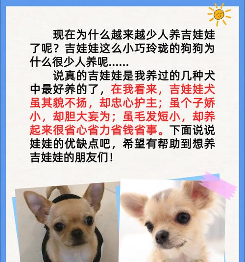 文章详情图片