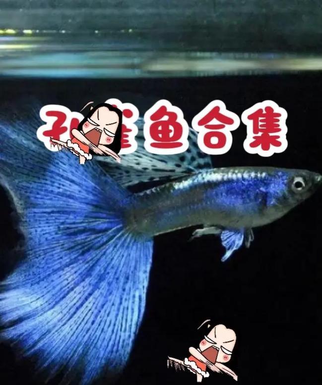 文章详情图片