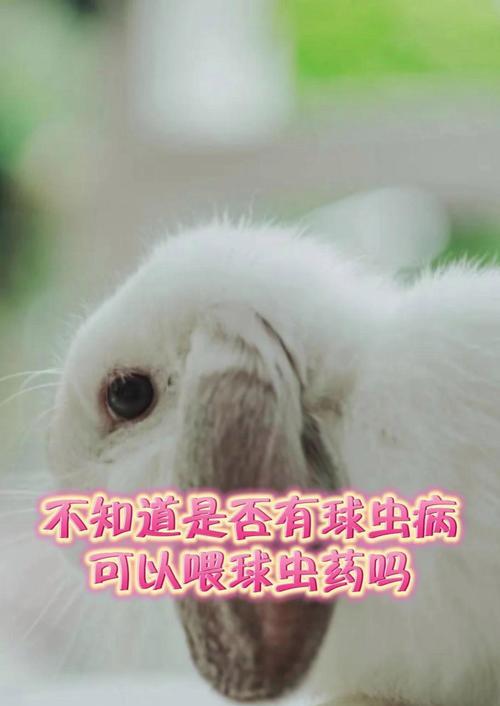 文章详情图片