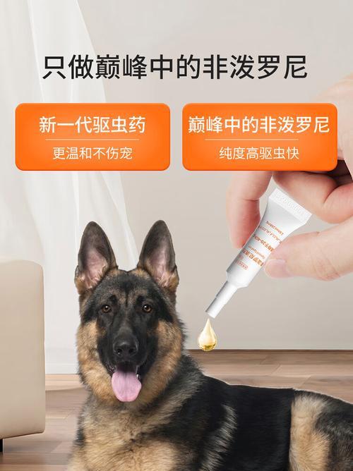 文章详情图片