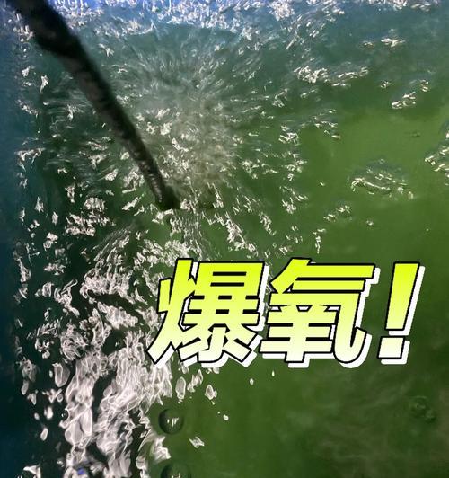 文章详情图片