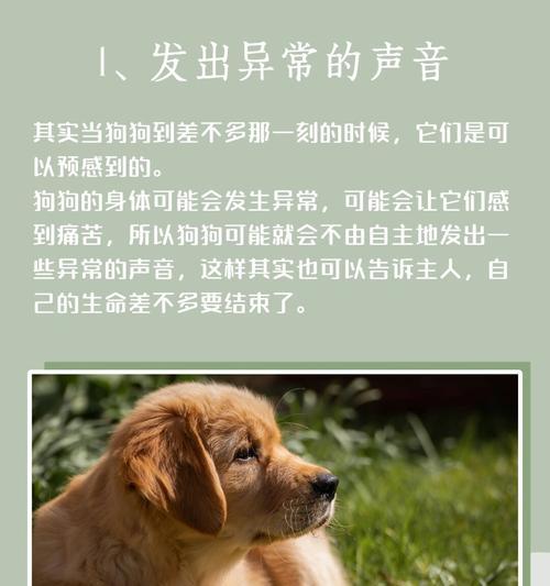 文章详情图片