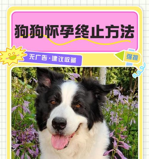 文章详情图片