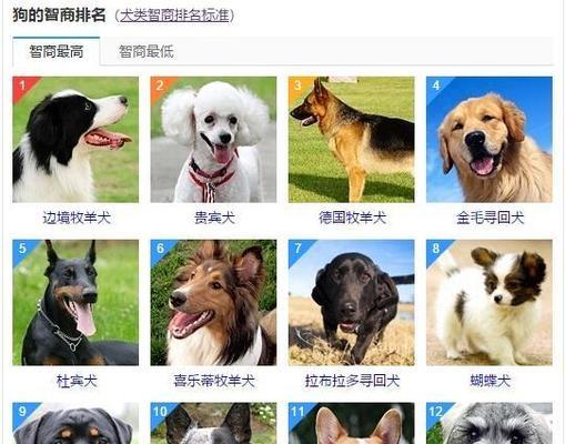 文章详情图片