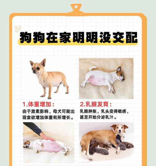 文章详情图片