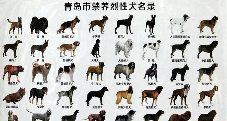 文章详情图片