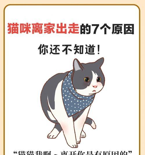 文章详情图片