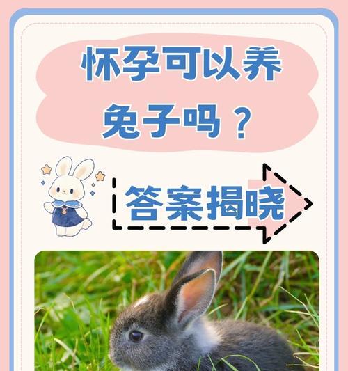 文章详情图片