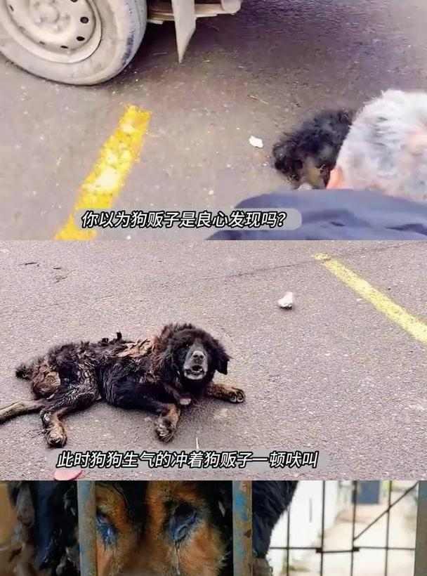 文章详情图片
