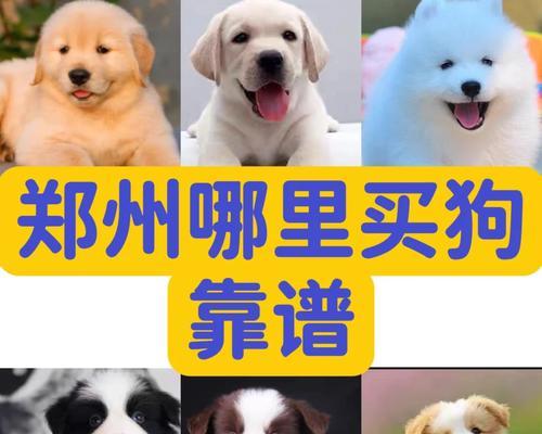 文章详情图片