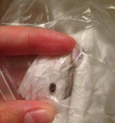 文章详情图片