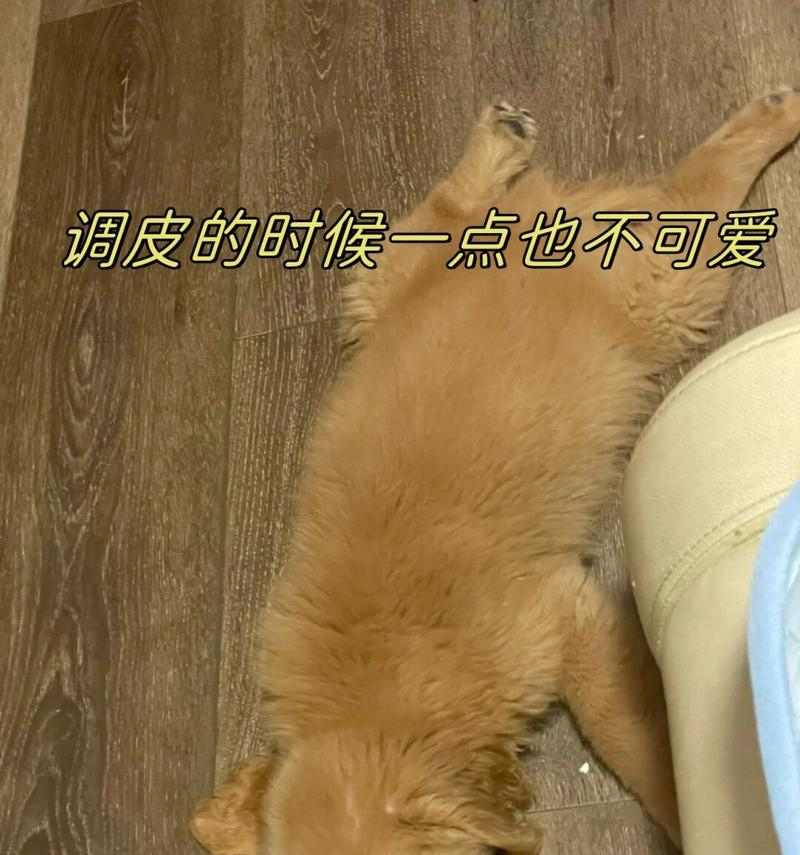 文章详情图片