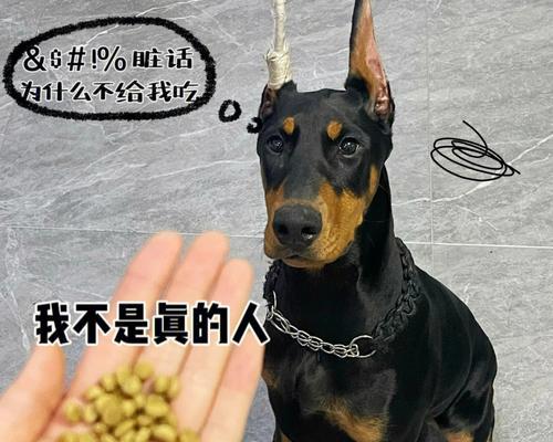 文章详情图片