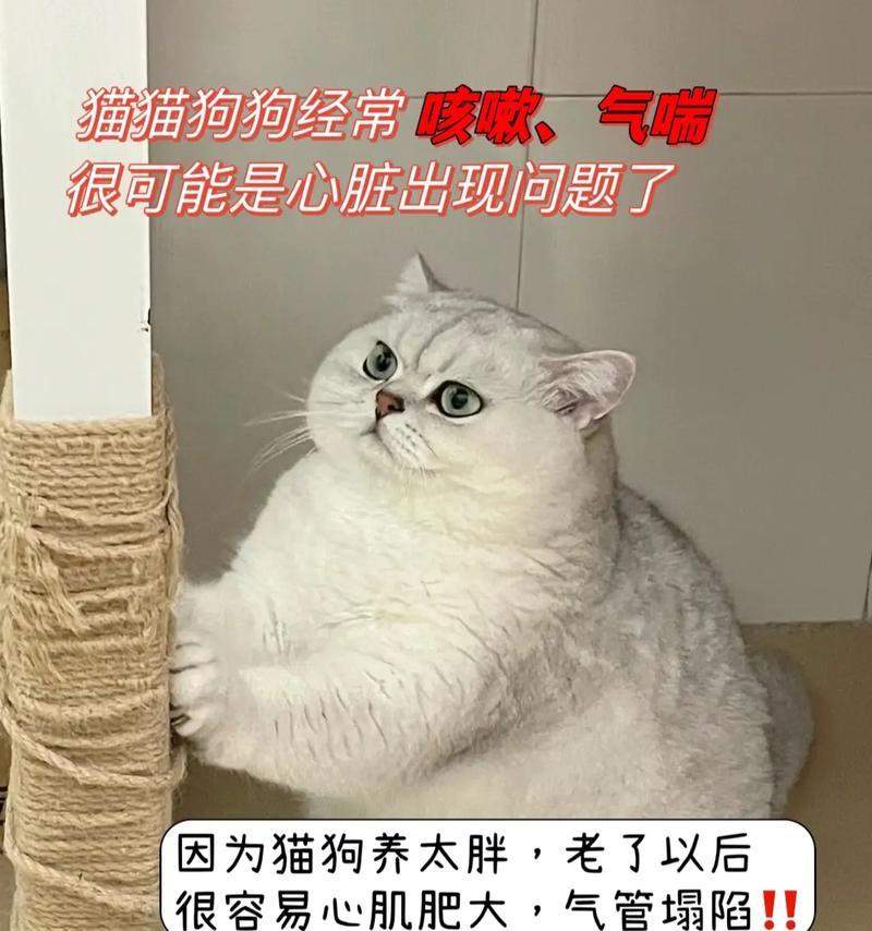 文章详情图片