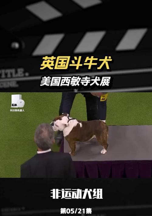 文章详情图片